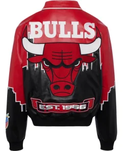 Chicago Bulls Skyline Vegan Leather Jacket